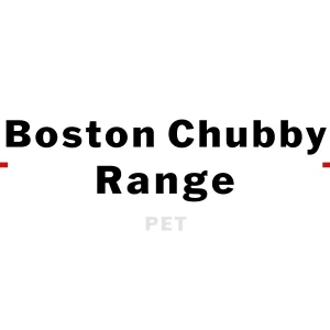 Boston Chubby (PET)
